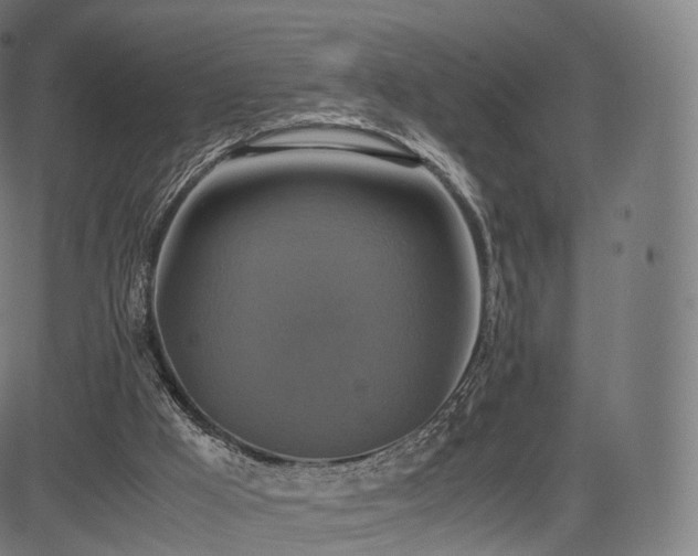 X0000085250009200703091310