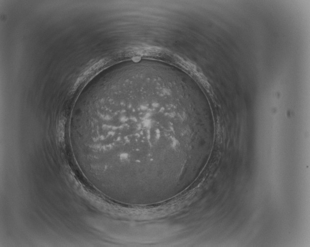 X0000085250010200703091310