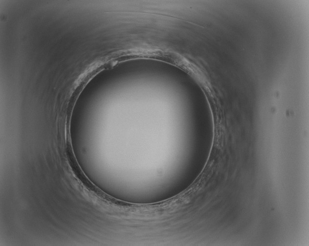 X0000085250011200703091310