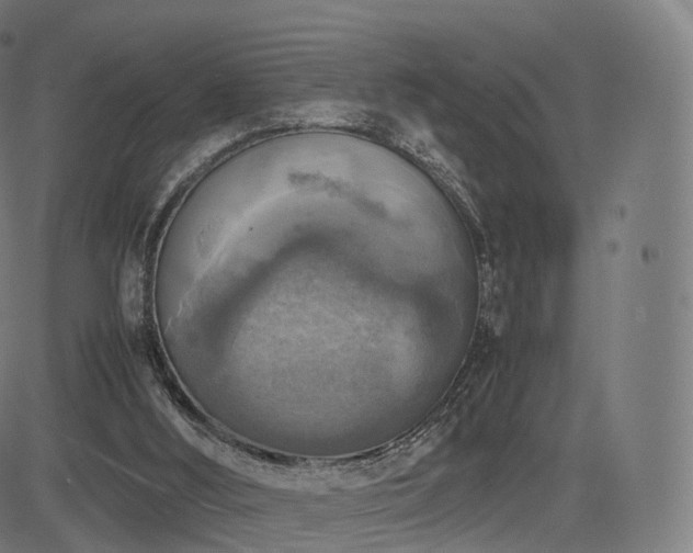 X0000085250012200703091310