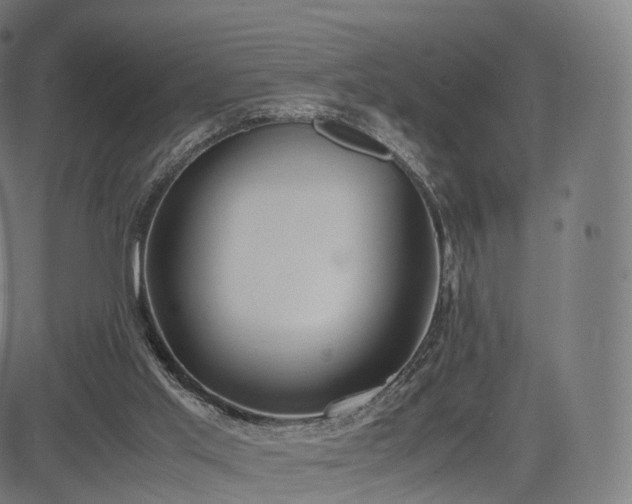 X0000085250013200703091310