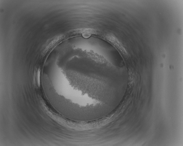 X0000085250014200703091310