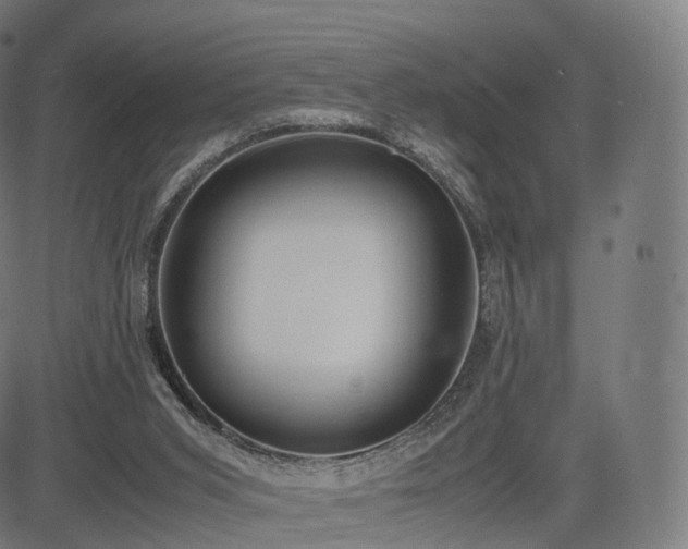 X0000085250015200703091310