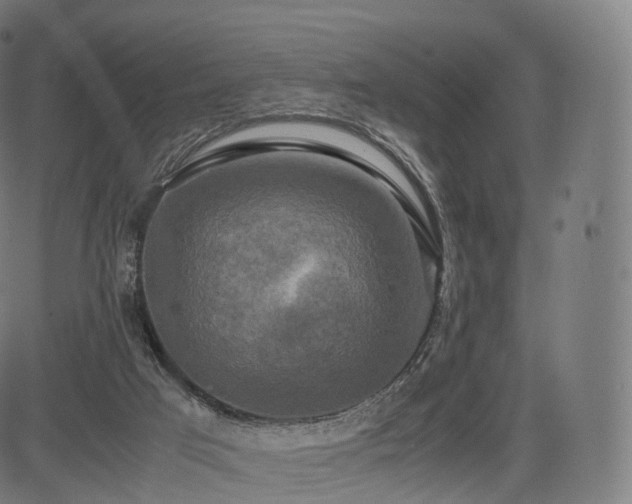 X0000085250017200703091309