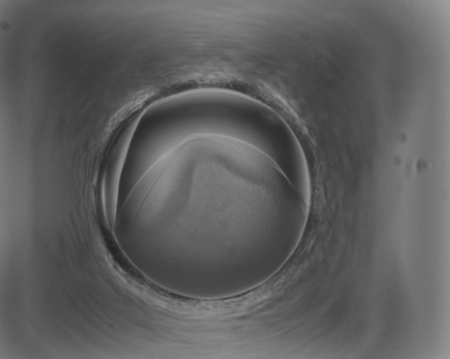 X0000085250019200703091309