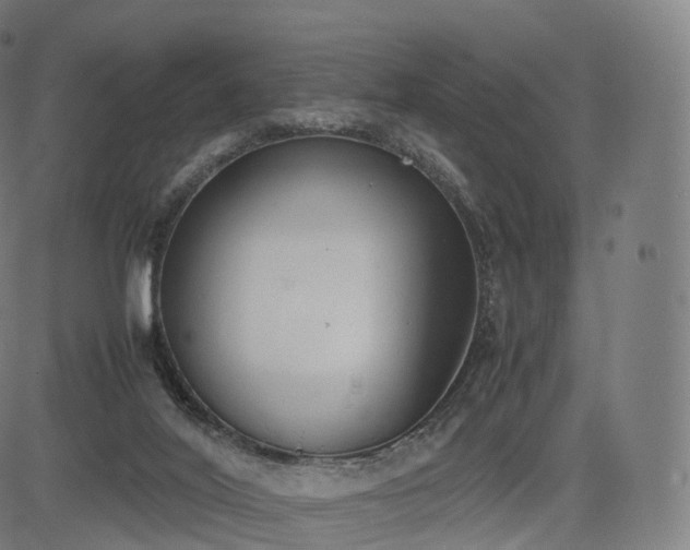 X0000085250020200703091309