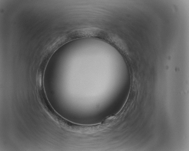 X0000085250021200703091309