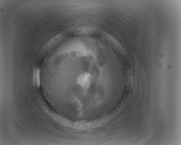 X0000085250022200703091309