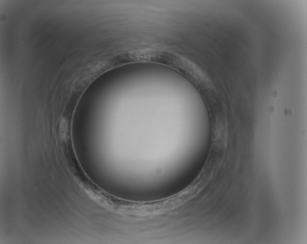 X0000085250025200703091309