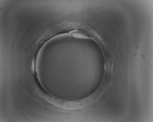 X0000085250027200703091309