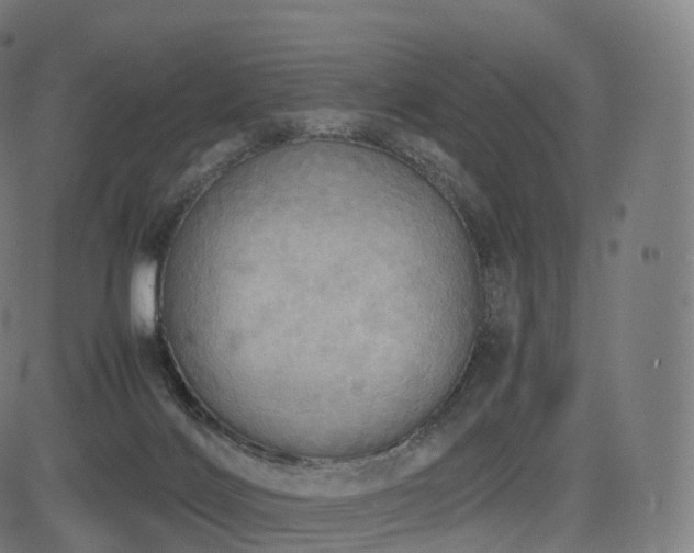 X0000085250028200703091309