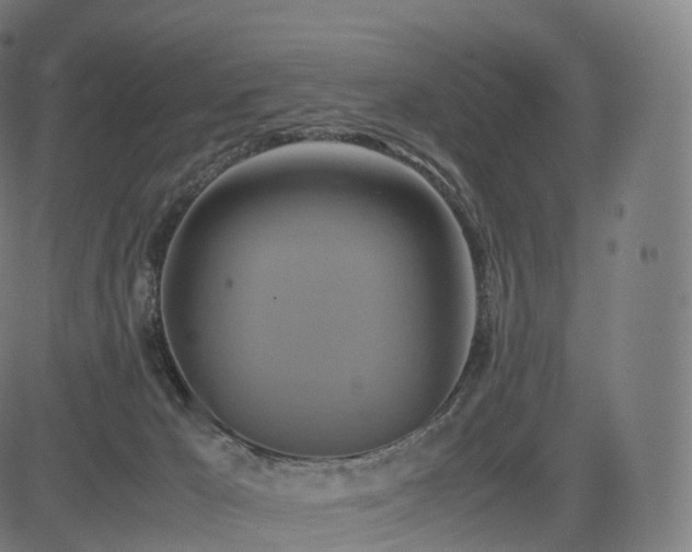 X0000085250029200703091309