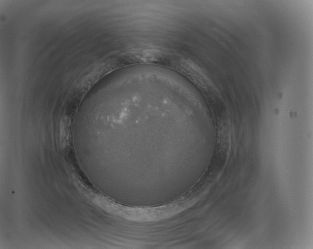 X0000085250030200703091309