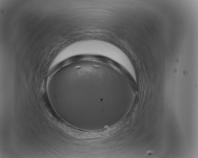 X0000085250031200703091309