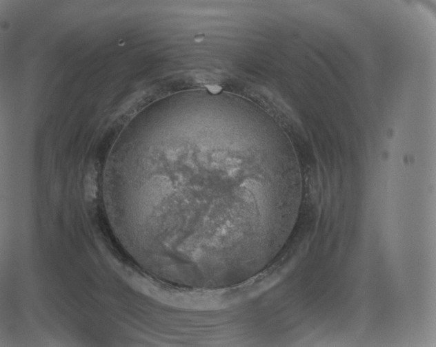 X0000085250032200703091309