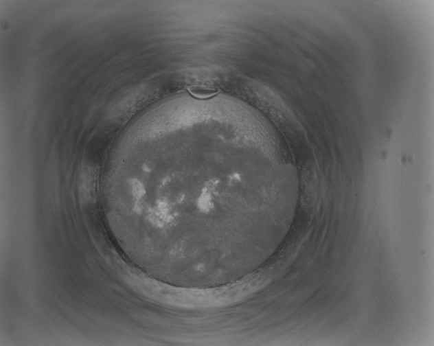 X0000085250034200703091309