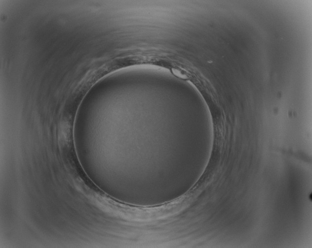 X0000085250035200703091309