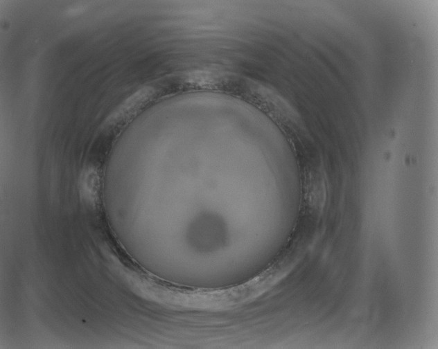 X0000085250036200703091309