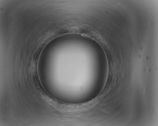 X0000085250037200703091309