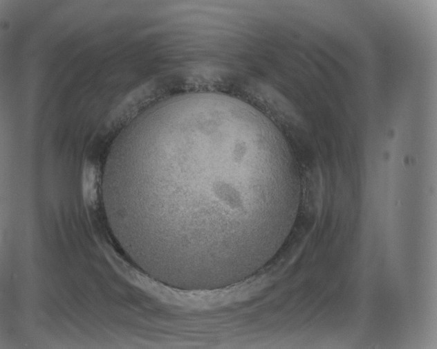 X0000085250038200703091309