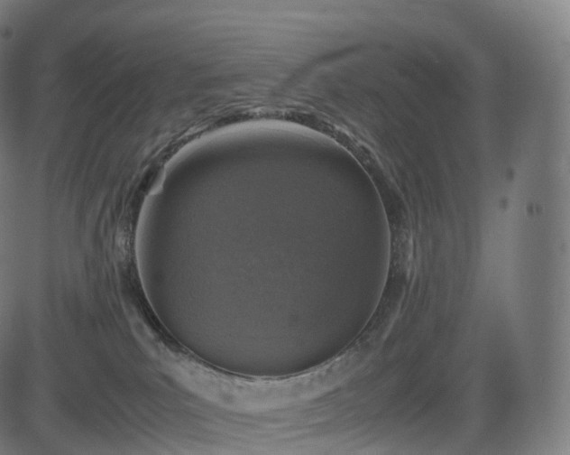 X0000085250039200703091309