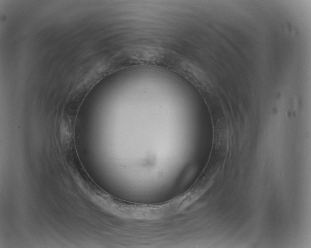 X0000085250040200703091309