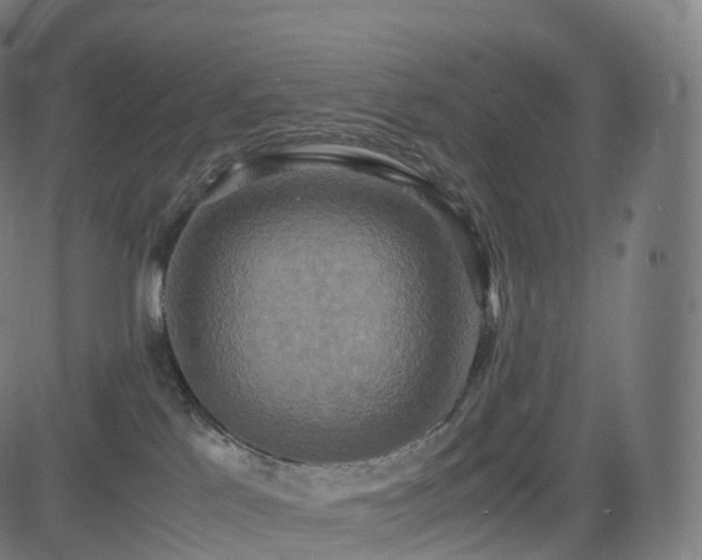 X0000085250041200703091309