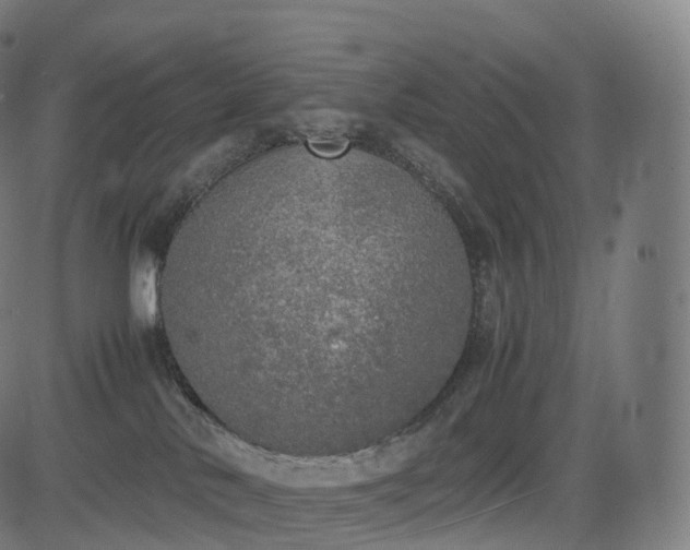 X0000085250042200703091309