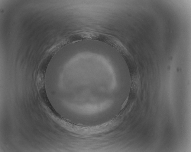 X0000085250043200703091309