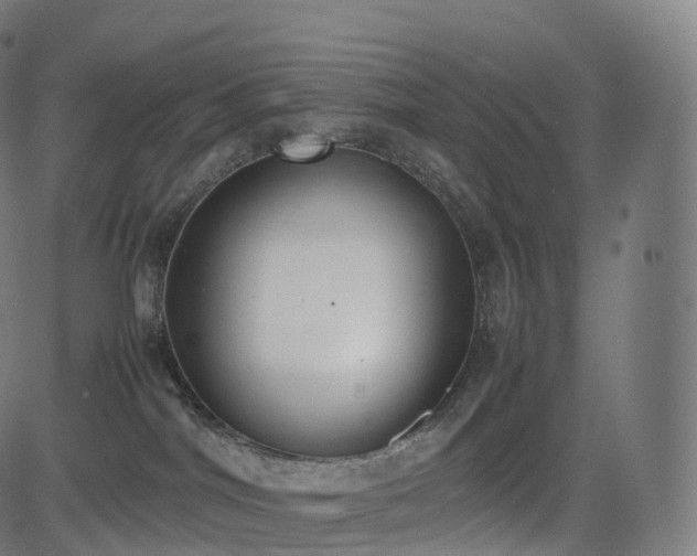 X0000085250044200703091309