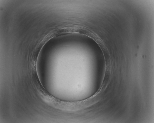 X0000085250045200703091309