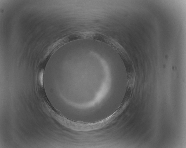 X0000085250047200703091309