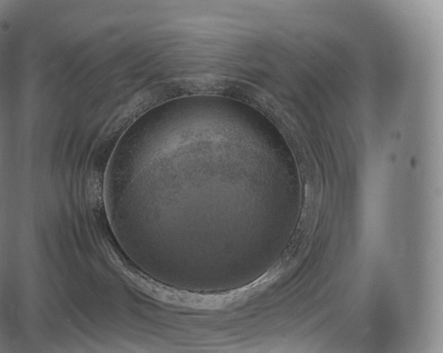 X0000085250048200703091309