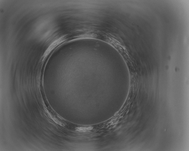 X0000085250051200703091308