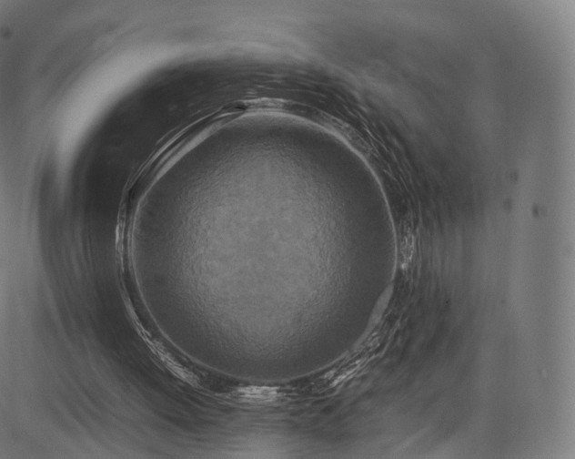 X0000085250052200703091308