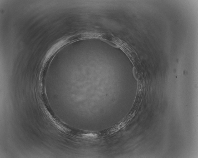 X0000085250053200703091308