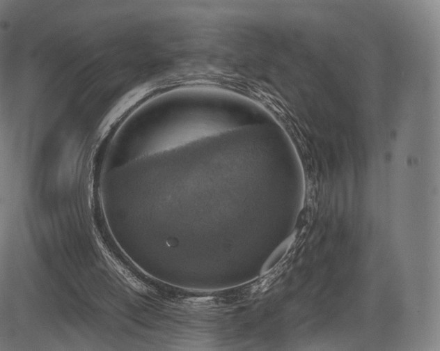 X0000085250054200703091308