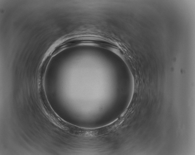 X0000085250056200703091308