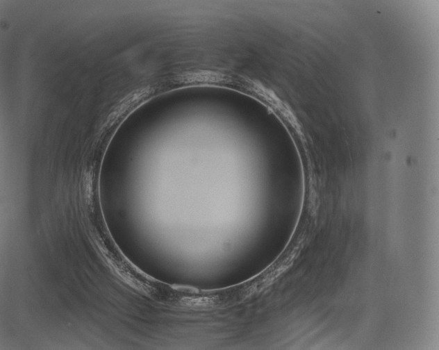 X0000085250057200703091308