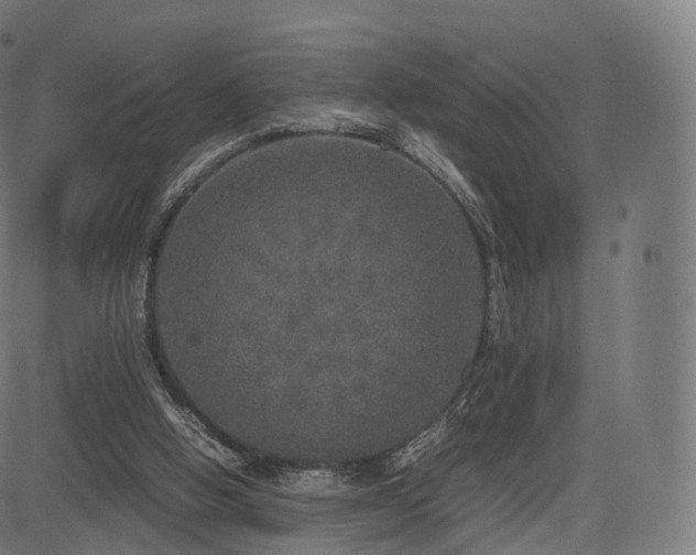 X0000085250058200703091308