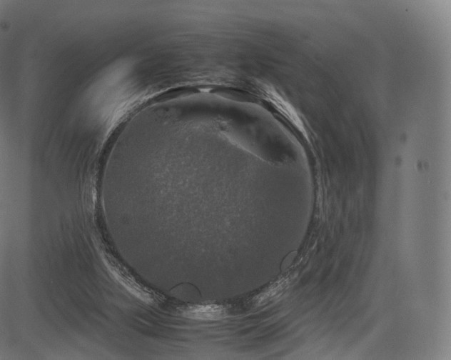 X0000085250059200703091308