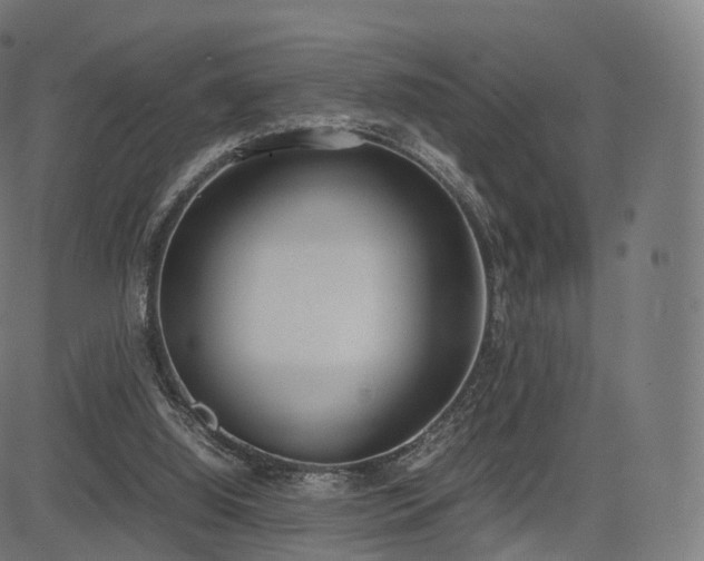 X0000085250060200703091308