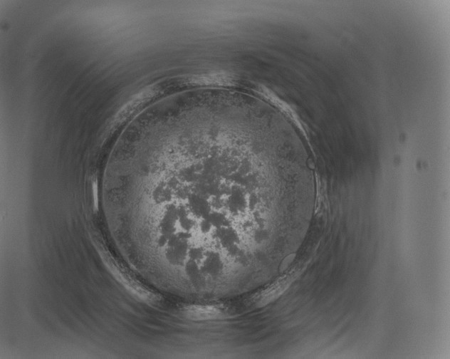 X0000085250061200703091308