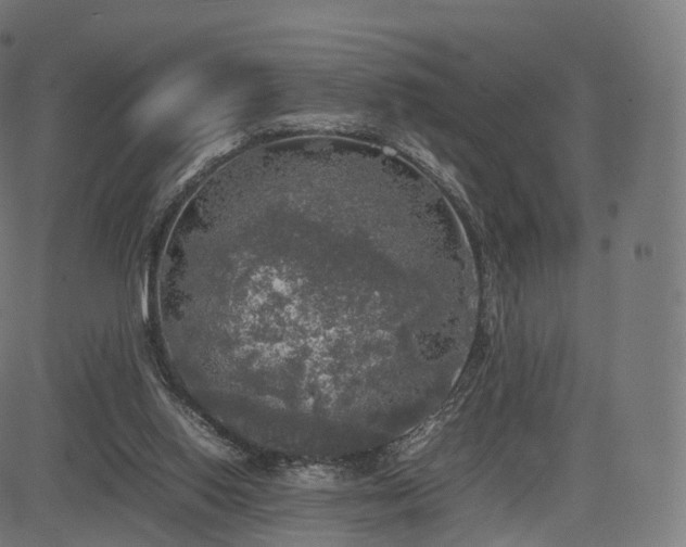 X0000085250062200703091308