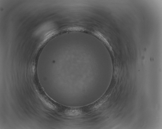 X0000085250063200703091308