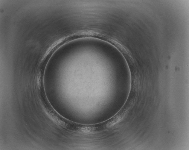 X0000085250064200703091308