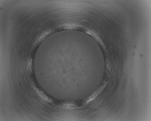 X0000085250066200703091308