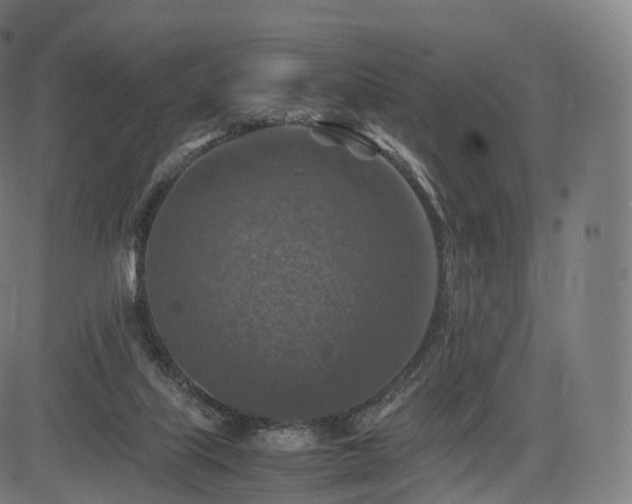 X0000085250067200703091308