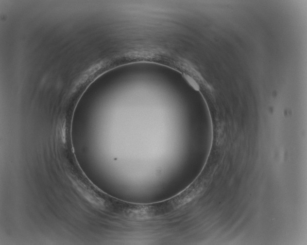 X0000085250068200703091308