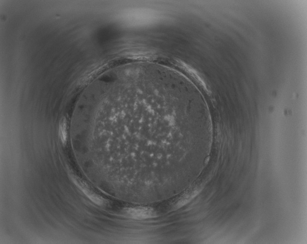 X0000085250069200703091308